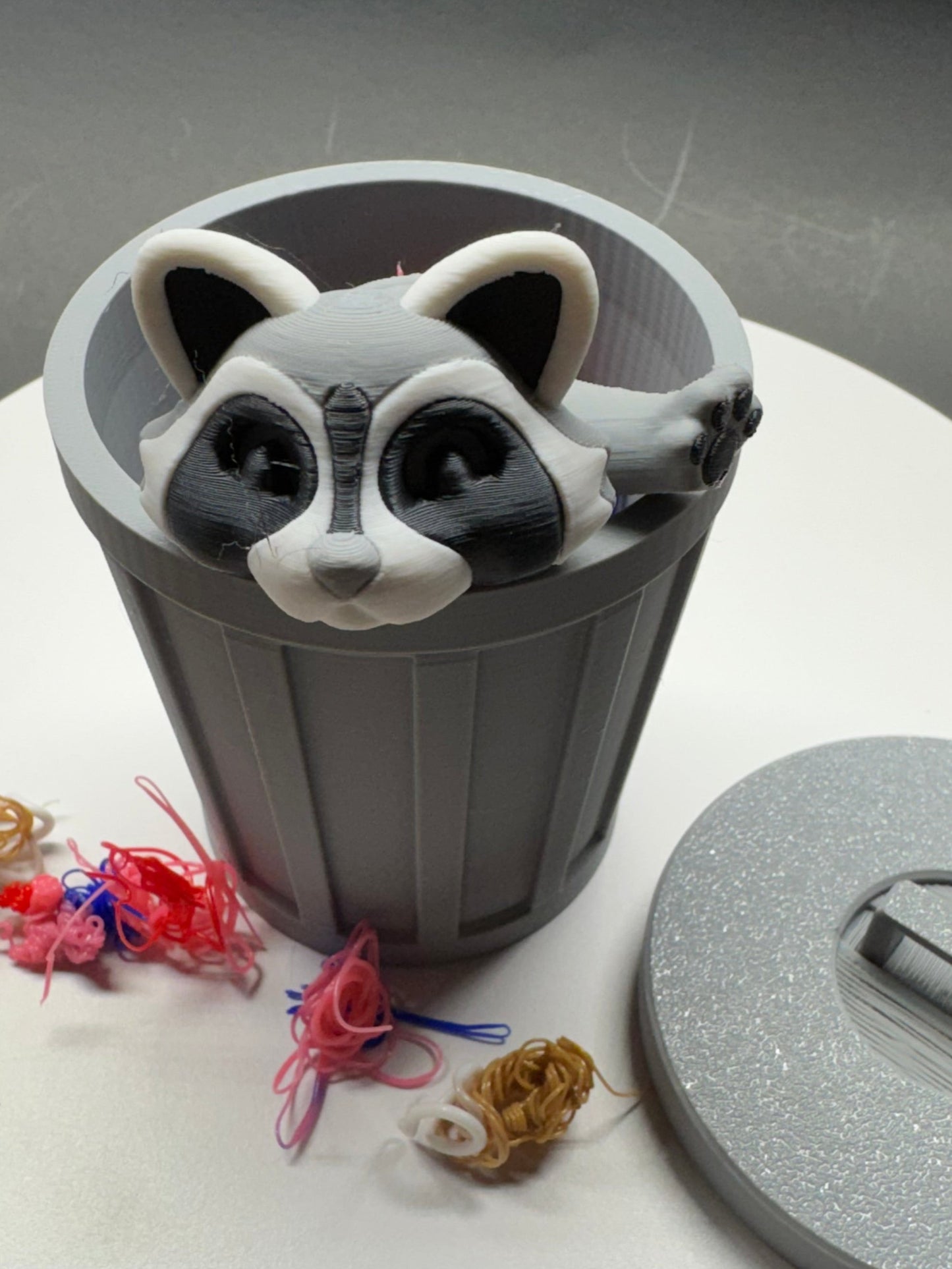 Trash Can Racoon